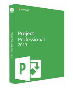 Microsoft Project 2019 Professional (PC)