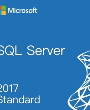 Microsoft SQL Server 2017 Standard (PC)